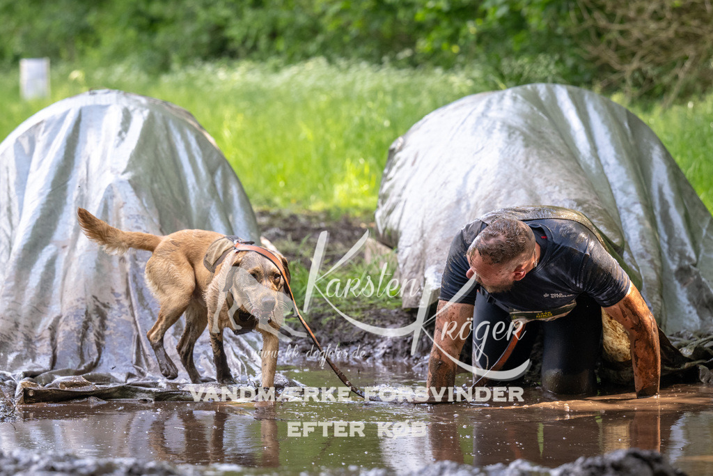 1305_ZZ94874 | kk-dogfotos