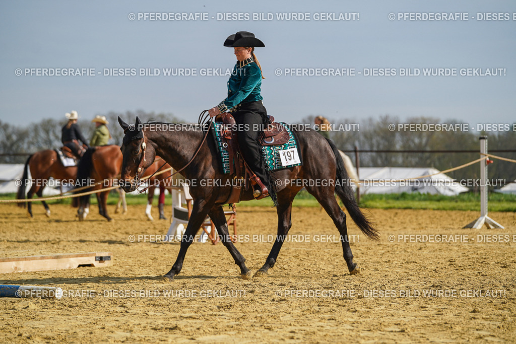 DSC01042 | Pferdegrafie