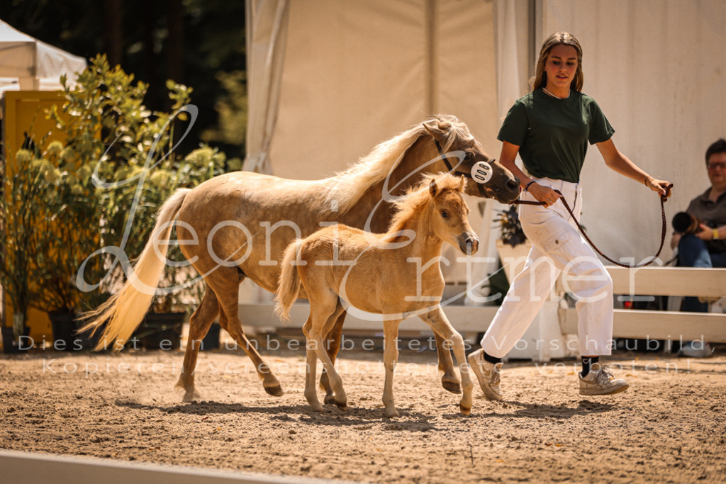 02.DoSR00042 | Leoni Ertmer Photography - Realisiert mit Pictrs.com