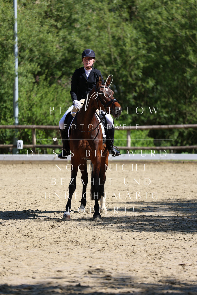 IMGT0376 | pl-fotografie