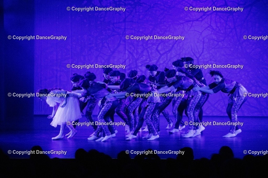 GPHY1706 | DanceGraphy - Realisiert mit Pictrs.com