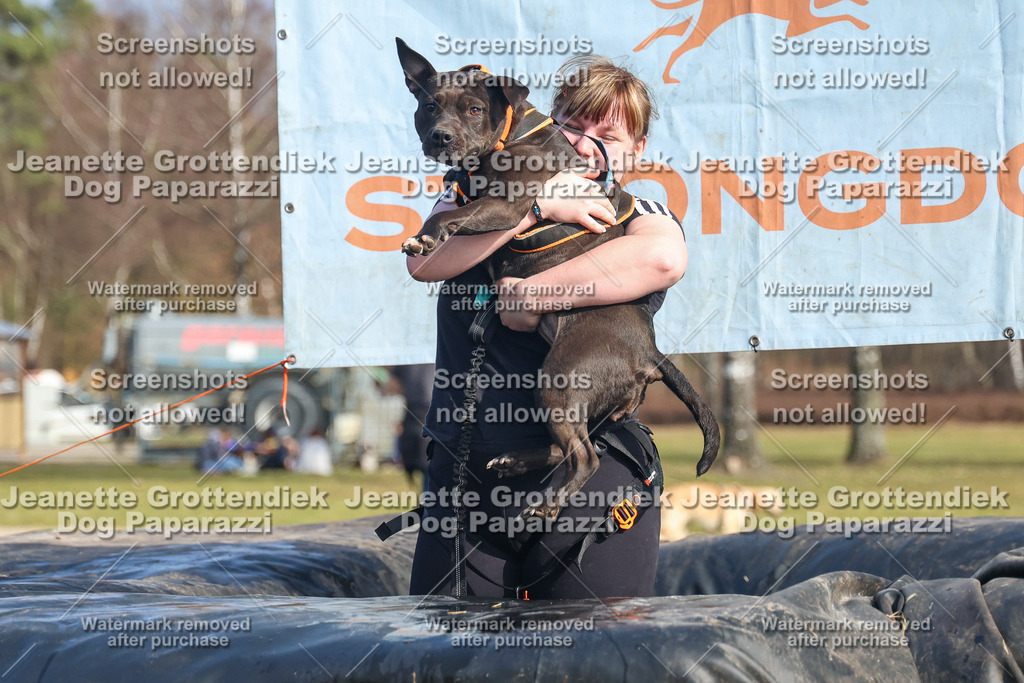 Dog Paparazzi - Strongdog North Mrz26-3001 | Dog Paparazzi Jeanette Grottendiek Fotografie & Videografie - Realisiert mit Pictrs.com