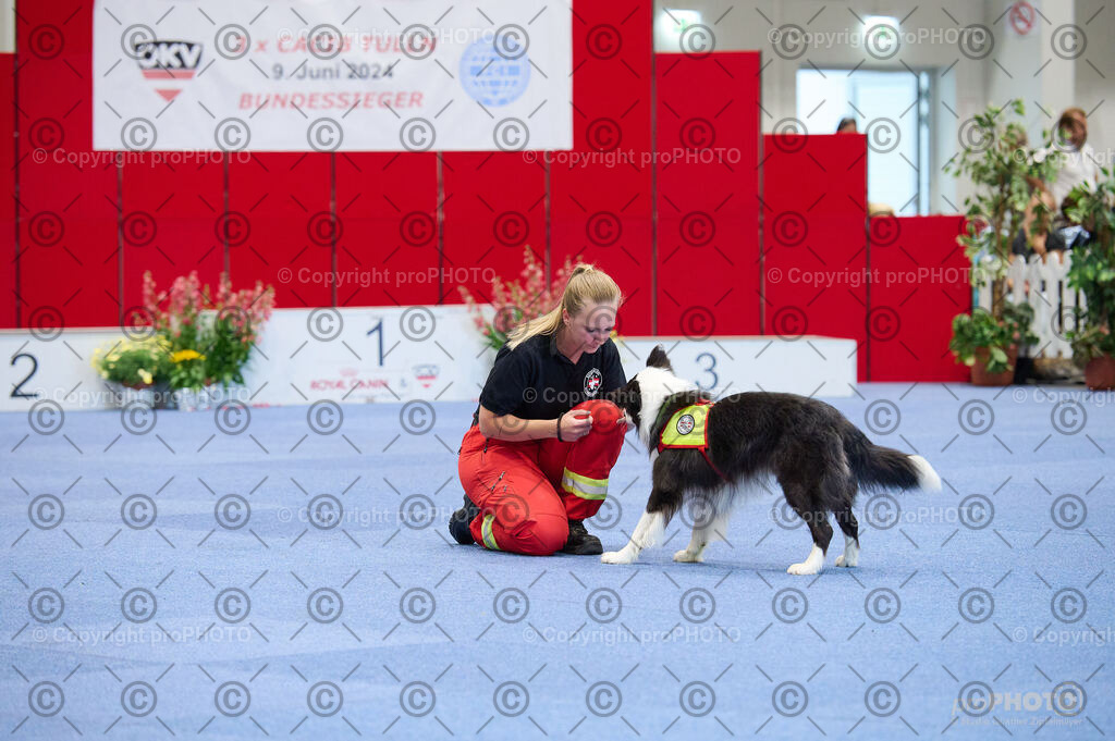 202406_ÖKV-IHA-Tulln24_DSC_4786 | proPHOTO - Realisiert mit Pictrs.com