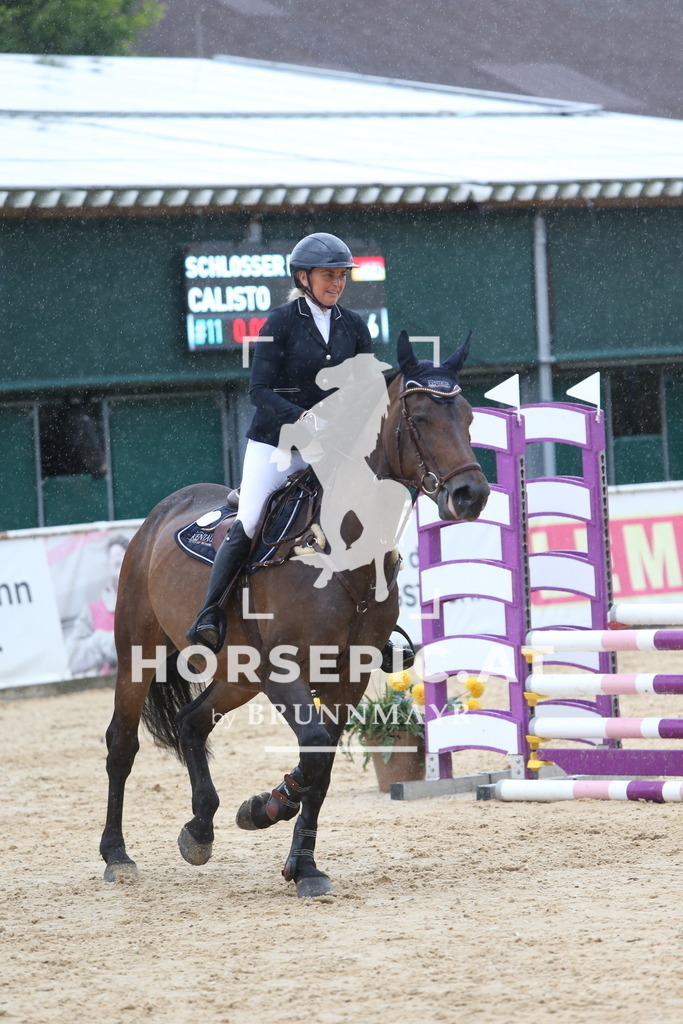 DL2Q0903 | Willkommen bei Brunnmayr - Design & Fotografie – Ihrem Spezialisten für Reitturniere und Pferdeveranstaltungen in Oberösterreich, Salzburg und Bayern! Seit über 17 Jahren sind wir leidenschaftlich dabei.