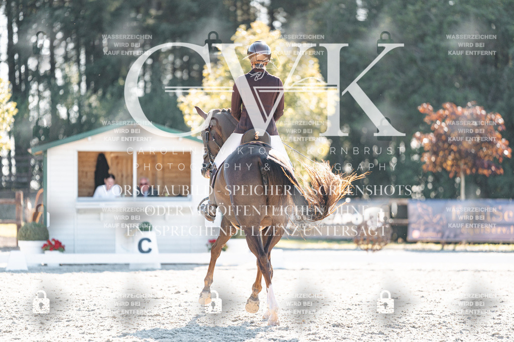 CK906582 | Turnierfotografie Pferdefotografie Trier Rheinland-Pfalz Pferdesport Reitsport Tierfotografie Sportfotografie Pferdevideo Pferdevideografie Equestrianvideography equestrianphotography  - Realisiert mit Pictrs.com