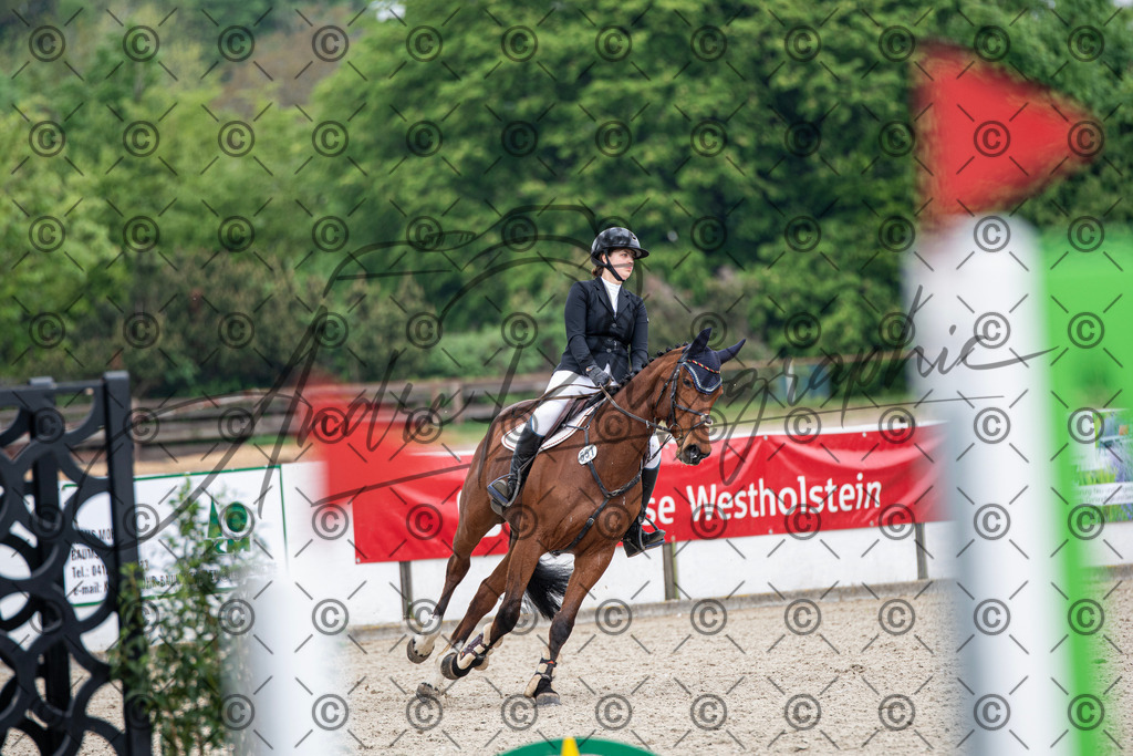 KPT_3531 | andre_photographic