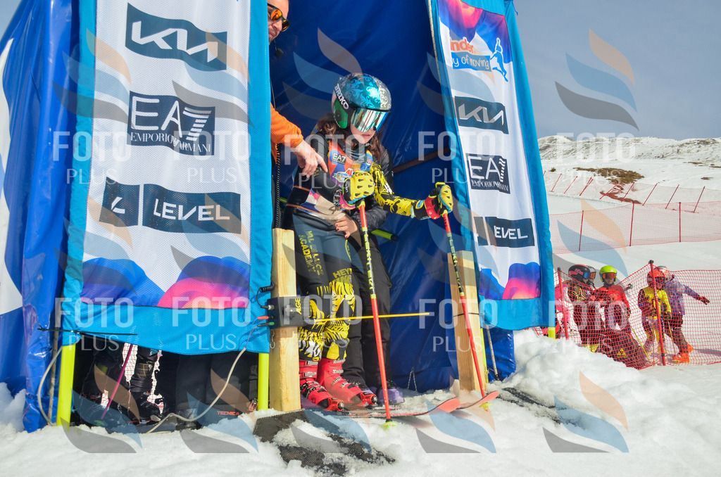 _ELE4397 | holidayphoto