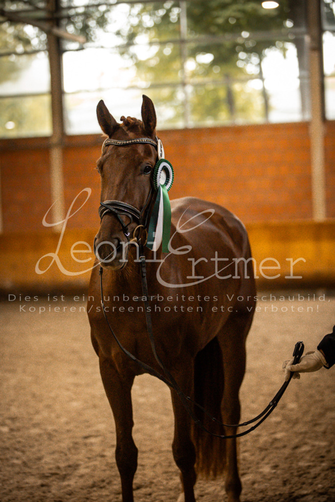 1Schritt00024 | Leoni Ertmer Photography - Realisiert mit Pictrs.com