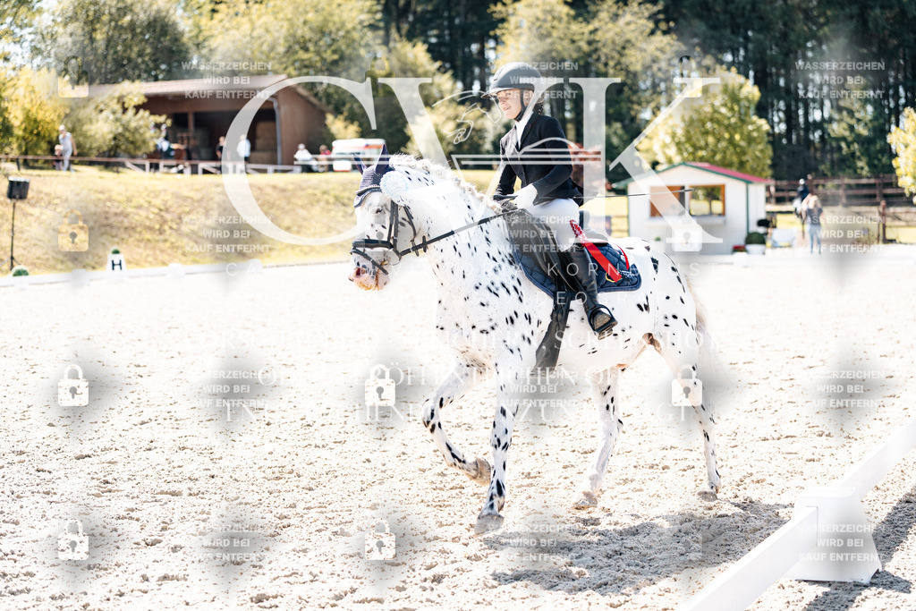 CK904217 | Turnierfotografie Pferdefotografie Trier Rheinland-Pfalz Pferdesport Reitsport Tierfotografie Sportfotografie Pferdevideo Pferdevideografie Equestrianvideography equestrianphotography  - Realisiert mit Pictrs.com