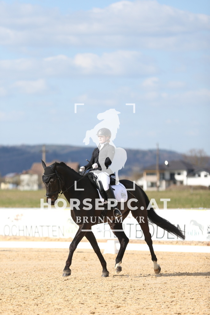 AS8V1832 | Willkommen bei Brunnmayr - Design & Fotografie – Ihrem Spezialisten für Reitturniere und Pferdeveranstaltungen in Oberösterreich, Salzburg und Bayern! Seit über 17 Jahren sind wir leidenschaftlich dabei.