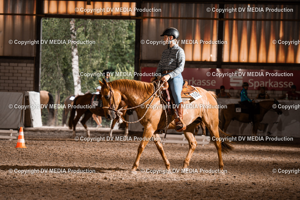 ZH200361 | dv-media-shop - Realisiert mit Pictrs.com