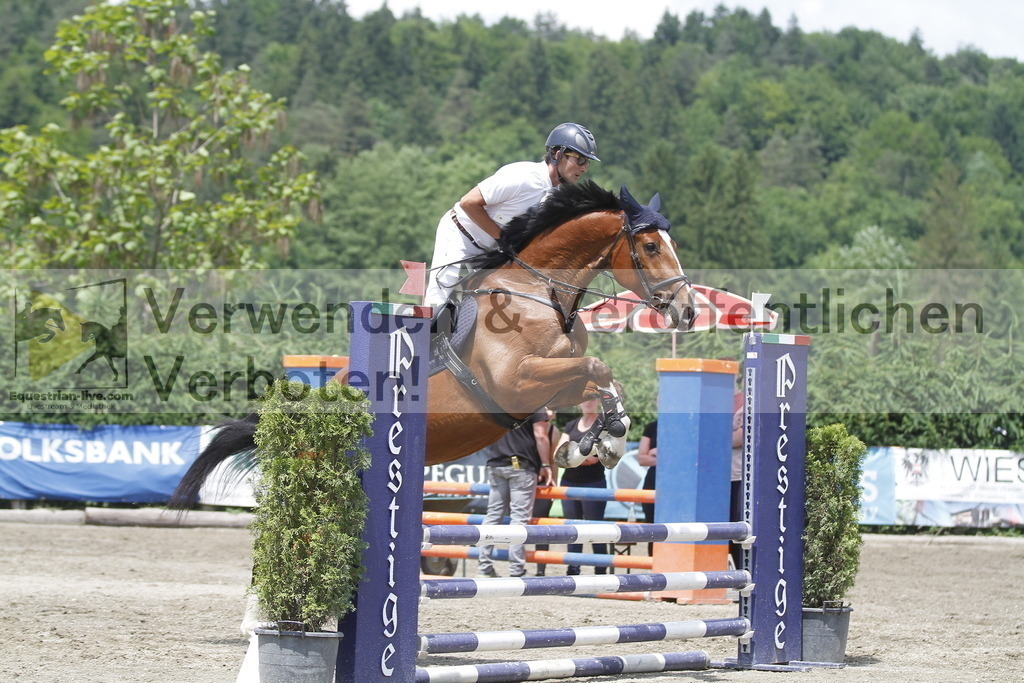 _MG_5367 | equestrian-live-com