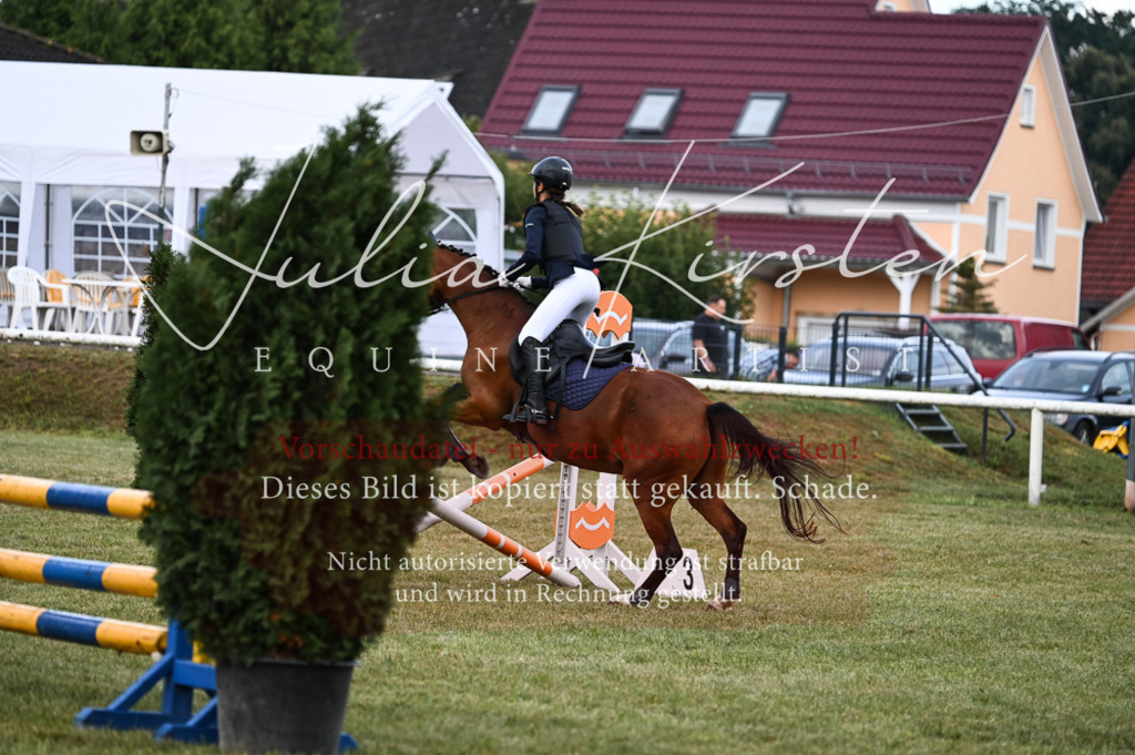 DSC_5496 | Pferde- und Turnierfotografie in Westsachsen. Pferdeportraits, Auftragszeichnungen und intuitive Kunst.