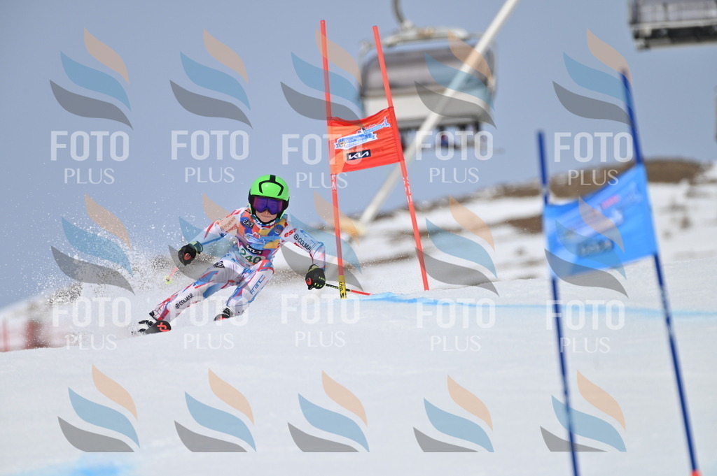 BGV_4740 | holidayphoto