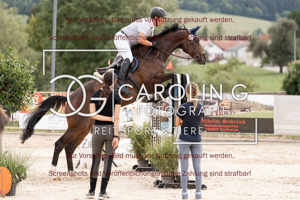 DSC06733 | Springturnier_Teamchallege_Talheim_2026, Joachim_Scherr, Chinger_3