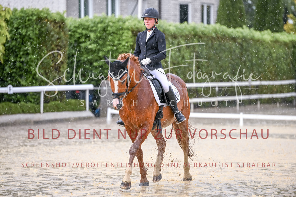 Schugtsche-Aluta25-54.Dressurprf.L1Trense-80 | Schugtsche Fotografie - Realisiert mit Pictrs.com