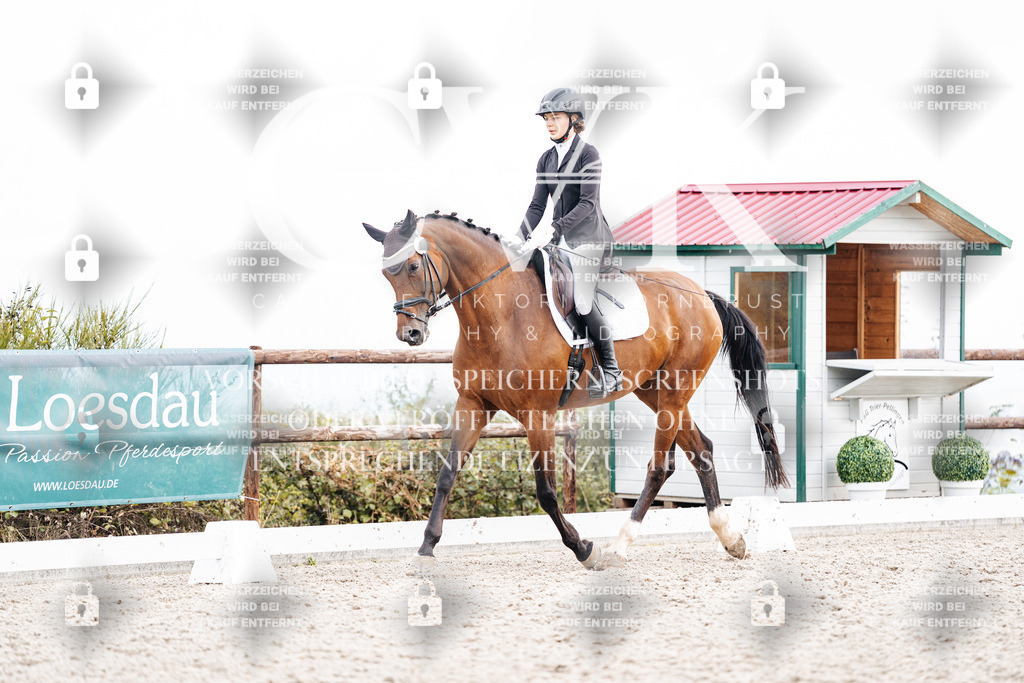 CK900996 | Turnierfotografie Pferdefotografie Trier Rheinland-Pfalz Pferdesport Reitsport Tierfotografie Sportfotografie Pferdevideo Pferdevideografie Equestrianvideography equestrianphotography  - Realisiert mit Pictrs.com