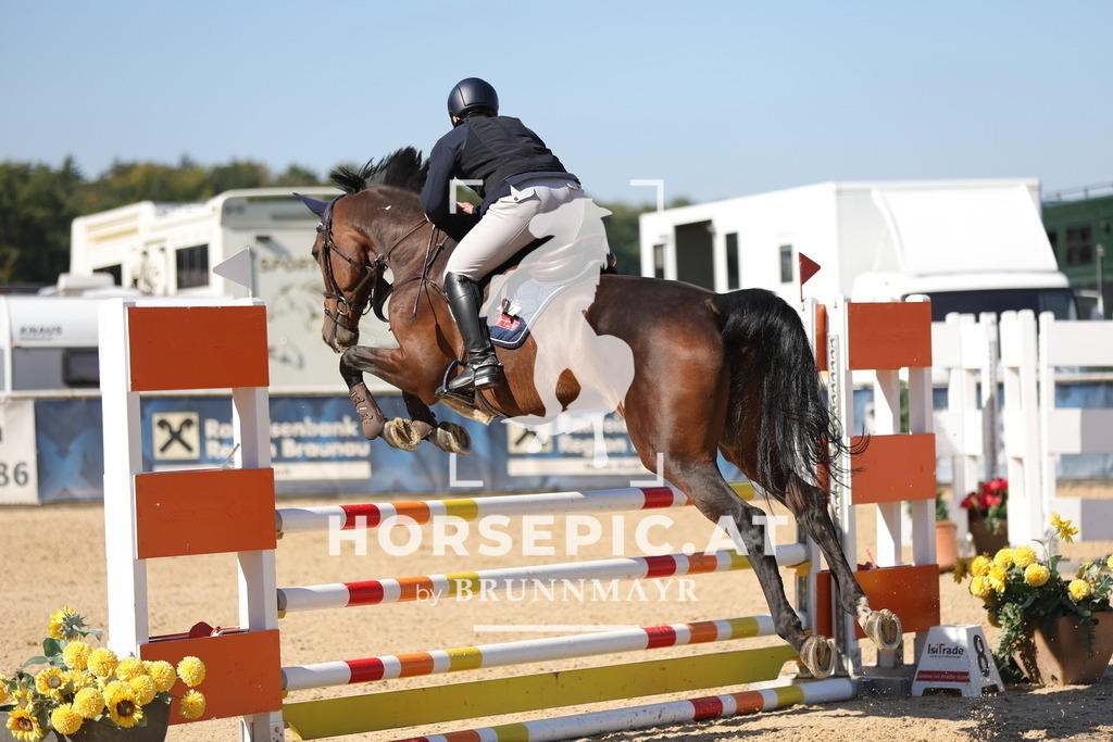 0P6A9985 | Willkommen bei Brunnmayr - Design & Fotografie – Ihrem Spezialisten für Reitturniere und Pferdeveranstaltungen in Oberösterreich, Salzburg und Bayern! Seit über 17 Jahren sind wir leidenschaftlich dabei.