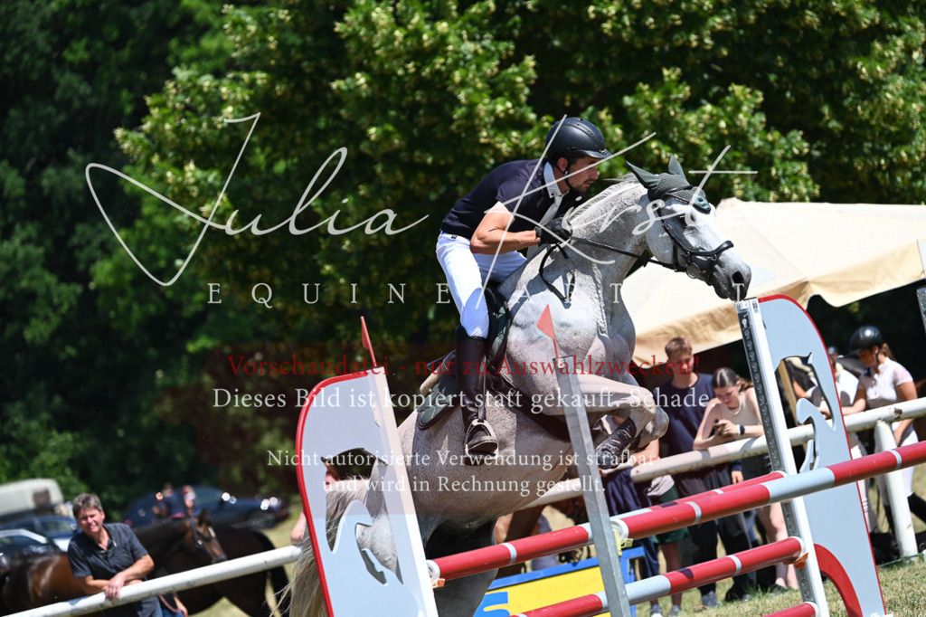 DSC_0685 | Pferde- und Turnierfotografie in Westsachsen. Pferdeportraits, Auftragszeichnungen und intuitive Kunst.