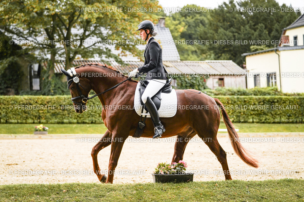 DSC08632 | Pferdegrafie