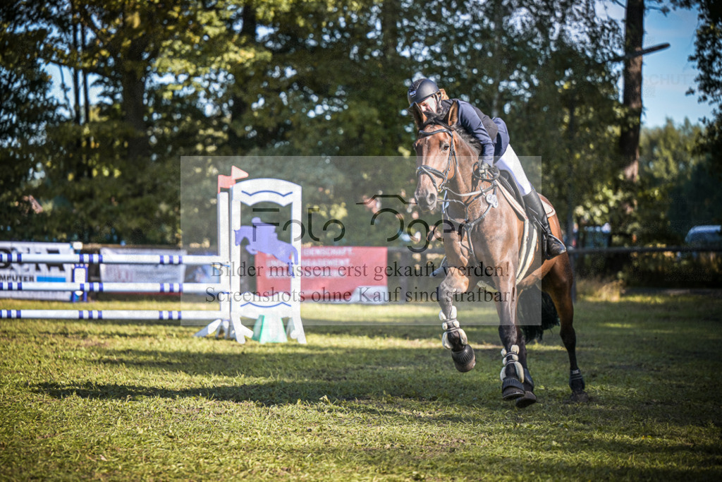 DOS_1441 | Entdecke hochwertige Reitturnierfotos von Foto Oger. Professionell, emotional und authentisch – jetzt Lieblingsmomente im Shop bestellen.Deutschlandweite Turnierfotografie. - Realisiert mit Pictrs.com