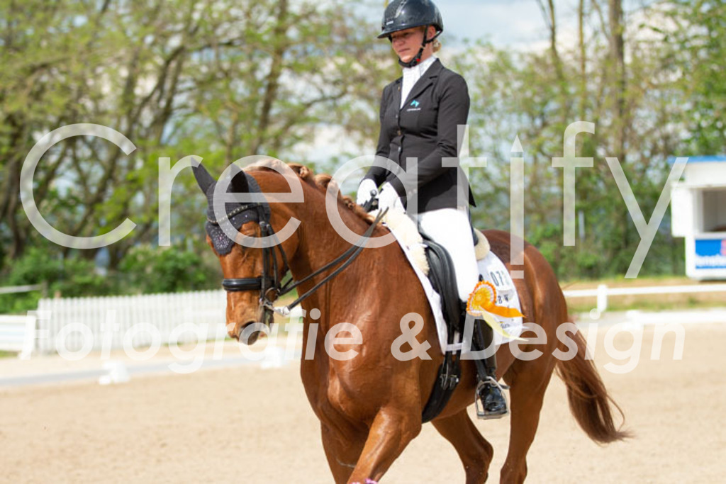 IMG_7046 | Creatify Fotografie