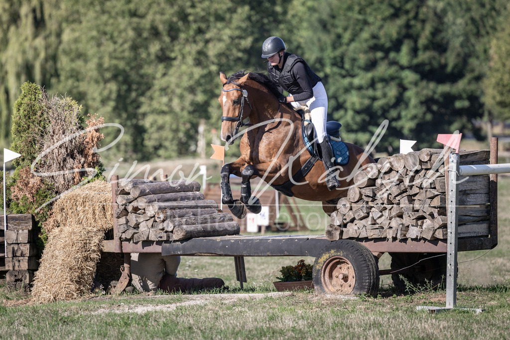 20260906-_3LI1978 | Tierfotografie Pferde, Hunde, Katzen, Haustiere.
Turnierfotografie Reitturniere, Reiten, Springreiten, Dressur in Hanau, dem Main-Kinzig-Kreis und dem Rhein-Main- Gebiet um Frankfurt