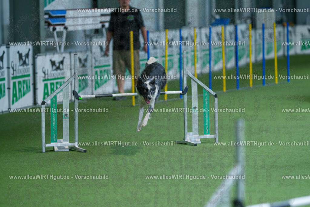 @allesWIRTHgut_Tierfotografie - www.allesWIRTHgut.de - 2604261524-7R505475 | Professionelle Tierfotografie in Mönchengladbach von Daniel Wirth (allesWIRTHgut). Liebevolle & natürliche Bilder von Hunden & Katzen für unvergessliche Erinnerungen.