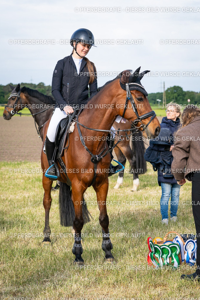 DSC03071 | Pferdegrafie