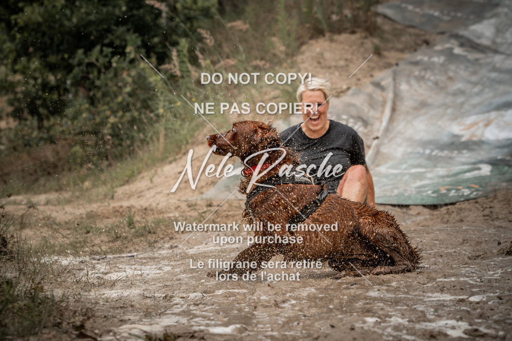 nelerasche_sa1200-1230_318 | nelerasche