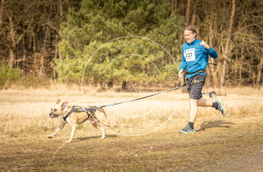 DV3A5336 | Hundefotografie, Tierfotograf, Pfotenfotografie, Fotoshooting Hund, Hunde Portrait, Hundesport, Hundeportraits, Heideshooting, Hunde, Sportfotograf, Hundefotograf, Turnierhundsport, THS,  - Realisiert mit Pictrs.com