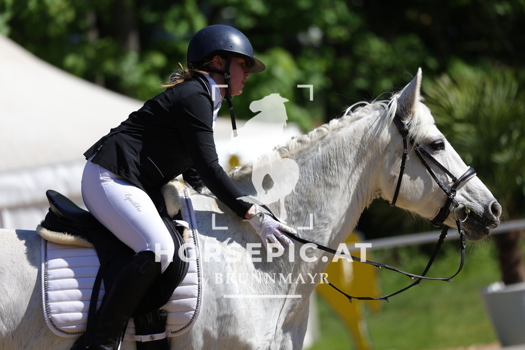 0P6A9784 | Willkommen bei Brunnmayr - Design & Fotografie – Ihrem Spezialisten für Reitturniere und Pferdeveranstaltungen in Oberösterreich, Salzburg und Bayern! Seit über 17 Jahren sind wir leidenschaftlich dabei.