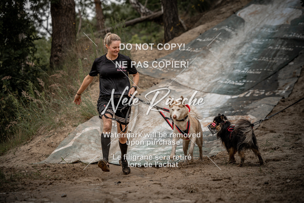 nelerasche_sa1100-1200_371 | nelerasche