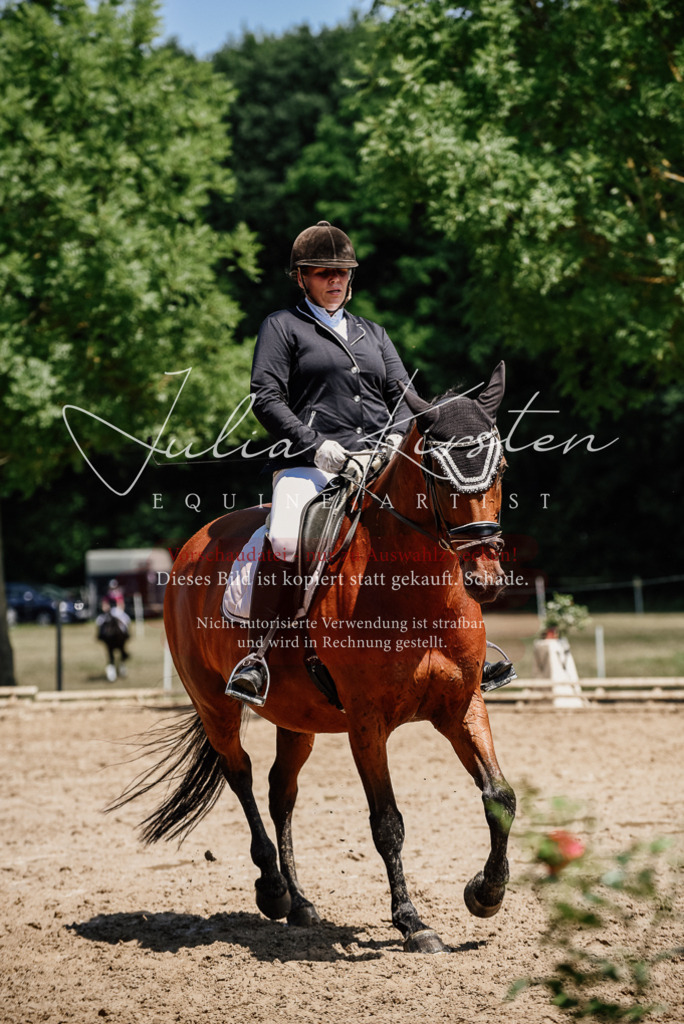 DSC_2001 | Pferde- und Turnierfotografie in Westsachsen. Pferdeportraits, Auftragszeichnungen und intuitive Kunst.