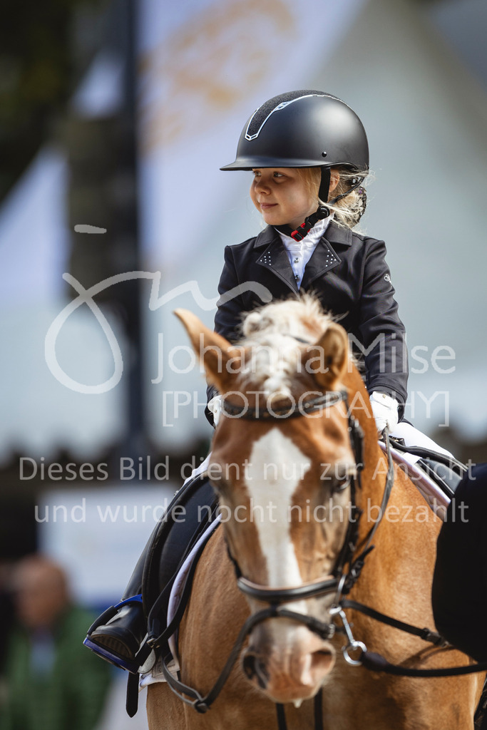 240915_OWLCh_FuehrzuegelWB-673 | Deine schönsten Turniermomente als professionelle Fotos! Entdecke hochwertige Pferdesport-Fotografie im Online-Shop. Jetzt Fotos finden & bestellen!