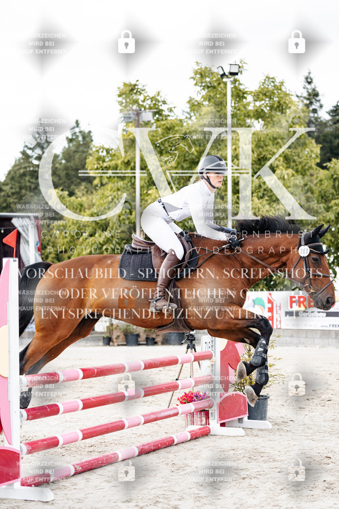 CK902703 | Turnierfotografie Pferdefotografie Trier Rheinland-Pfalz Pferdesport Reitsport Tierfotografie Sportfotografie Pferdevideo Pferdevideografie Equestrianvideography equestrianphotography  - Realisiert mit Pictrs.com