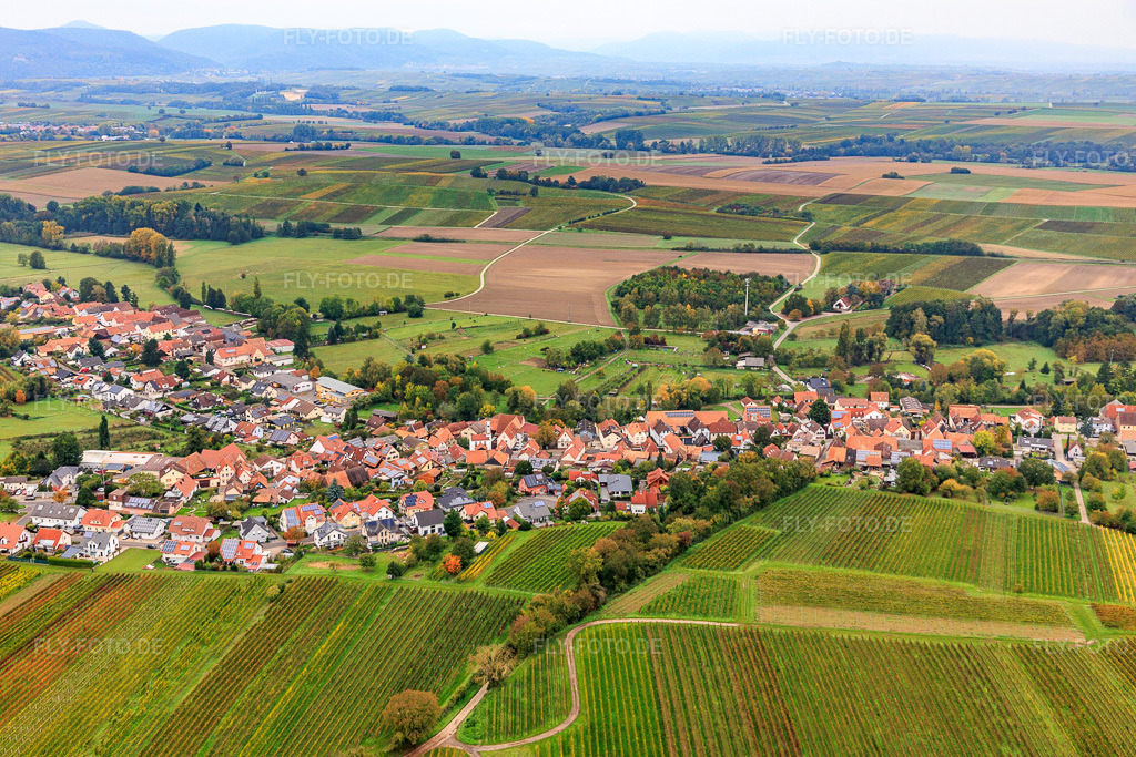 Luftbild: Ortsansicht aus Süden in Oberhausen im Bundesland Rheinland-Pfalz in Deutschland. Foto: IMG_149984.jpg vom 10.10.2025 durch Werner Riehm/FLY-FOTO.de