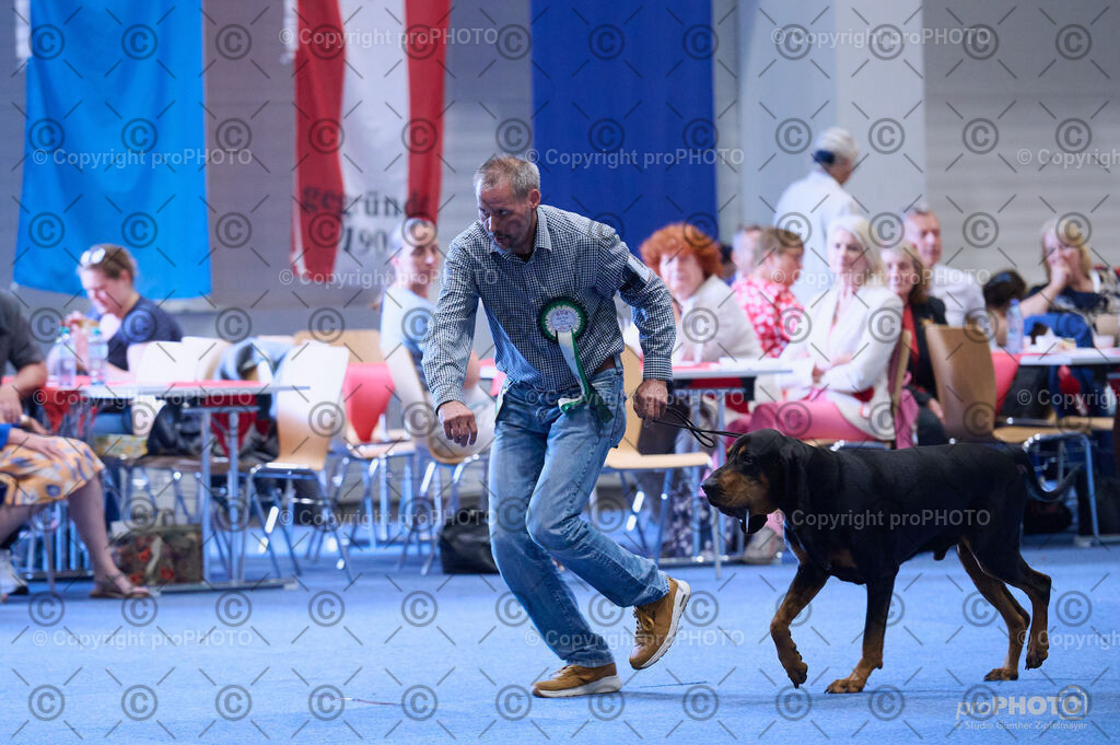 202406_ÖKV-IHA-Tulln24_DSC_3997 | proPHOTO - Realisiert mit Pictrs.com