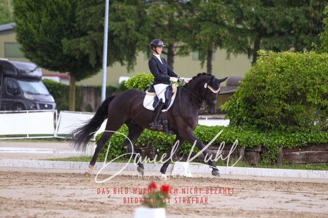 DKP40801 | Turniersportfotografie; Pferdefotografie; Dressurfotografie