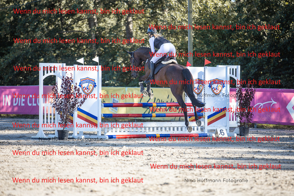 BK1A7801 | Turnierbilder Turnierfotos Nina Hüffmann Turnierfotografie Pferdefotografie Tierzeichnung Haustierzeichnung Pferdezeichnung Hundezeichnung Videograf  - Realisiert mit Pictrs.com