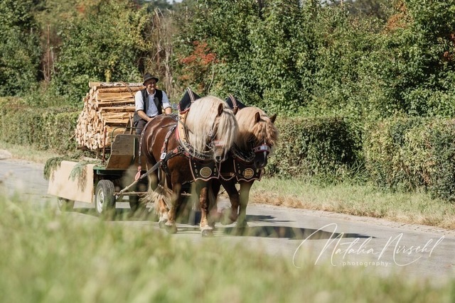 7V6A2230 | natalia-nirschl-photography