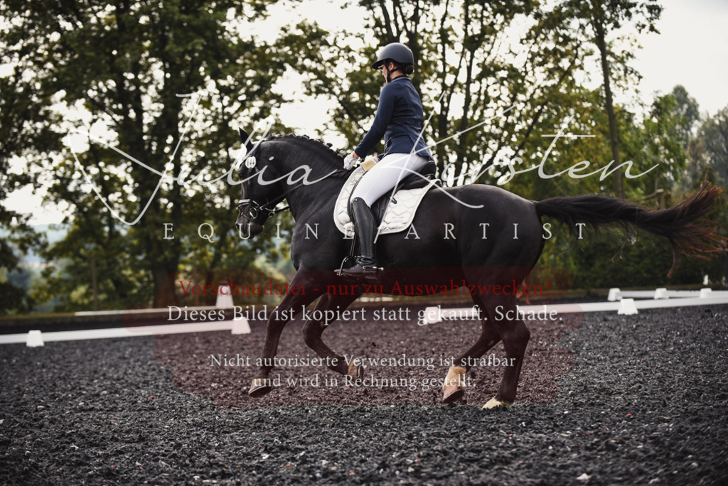 DSC_3760 | Pferde- und Turnierfotografie in Westsachsen. Pferdeportraits, Auftragszeichnungen und intuitive Kunst.