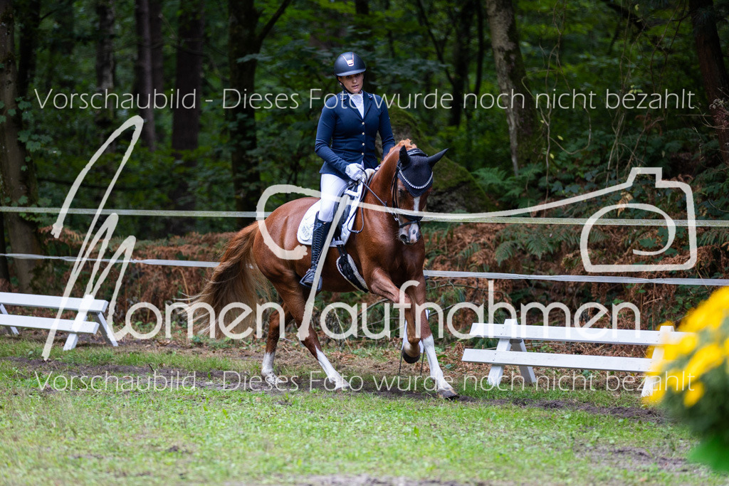 HB-A-Dressur-162 | MomenTaufnahmen Pferdesportfotos