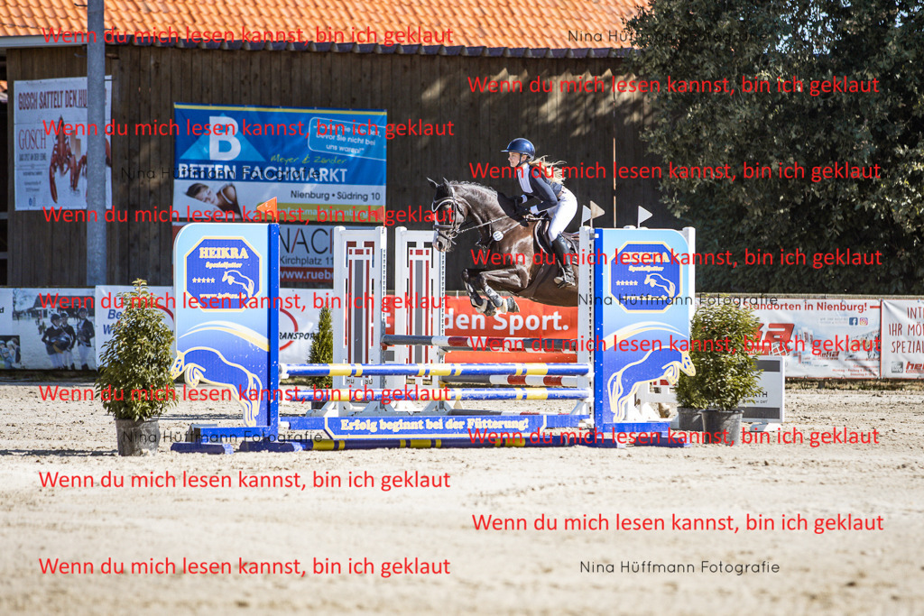 BK1A7946 | Turnierbilder Turnierfotos Nina Hüffmann Turnierfotografie Pferdefotografie Tierzeichnung Haustierzeichnung Pferdezeichnung Hundezeichnung Videograf  - Realisiert mit Pictrs.com