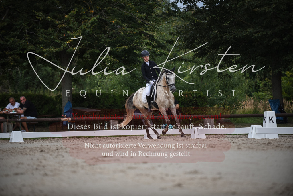 DSC_8215 | Pferde- und Turnierfotografie in Westsachsen. Pferdeportraits, Auftragszeichnungen und intuitive Kunst.