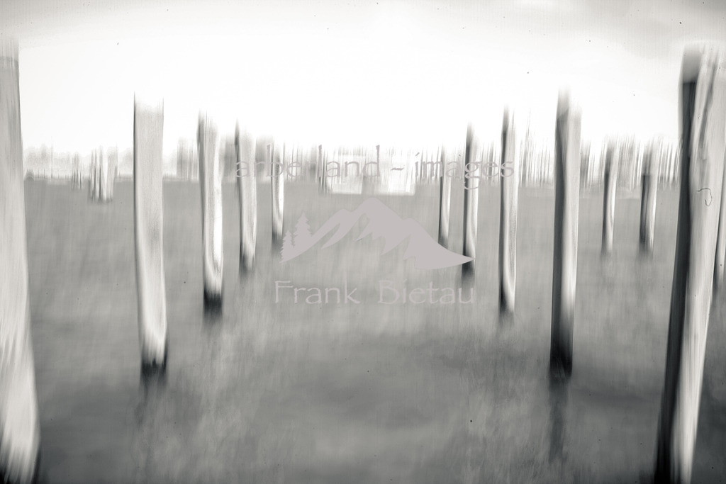 _93T1137 | Venice BW