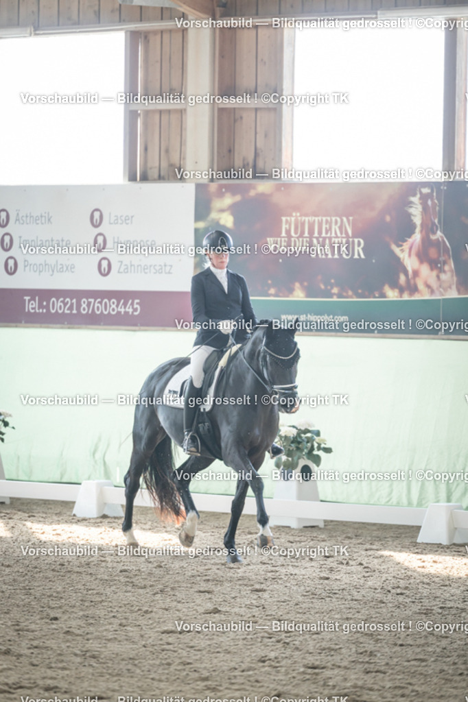 _D5A0711 | Emotionale Pferde- & People-Fotografie rund um Heidelberg, Leimen & Umgebung. Natürliche Fotos von Pferd, Mensch & Familie. Jetzt Termin sichern!