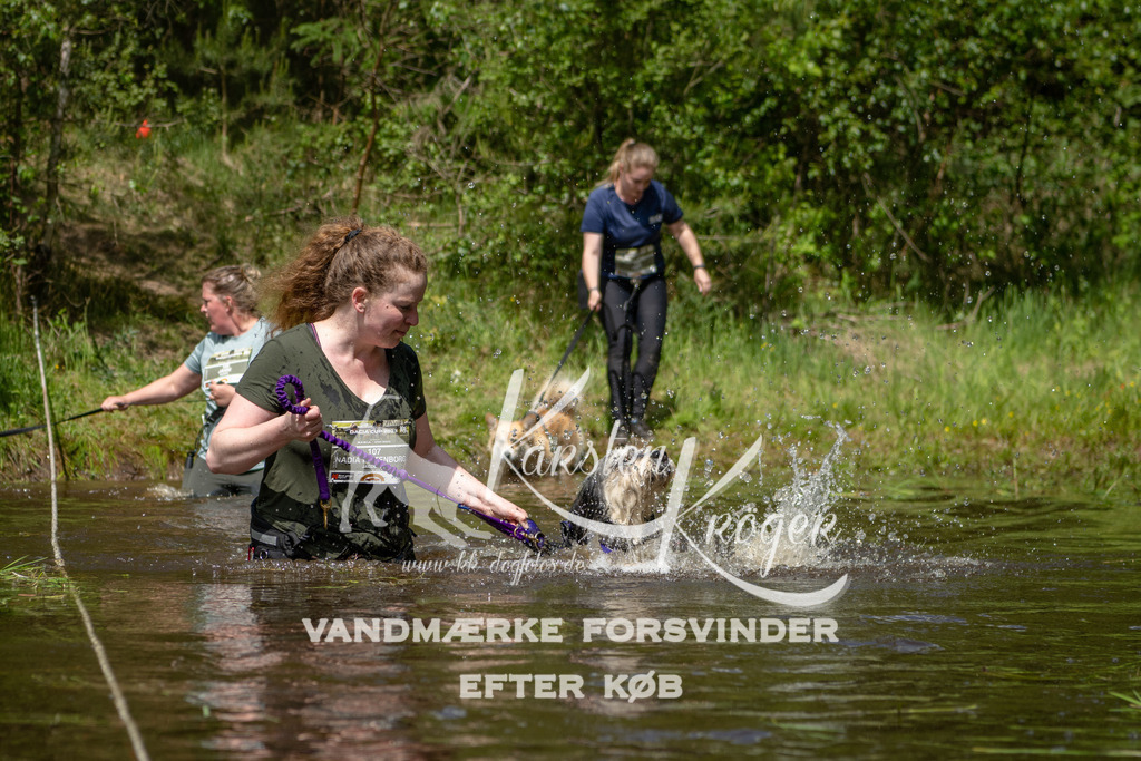 1215DKK992326 | kk-dogfotos