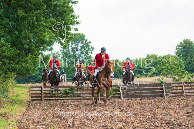 Jagd Kletkamp 26-03051_MarinaHewig | Fotografie, FotoArt, PferdesportArt, Pferdesportfotografie, Landschaftsfotografie, Reisefotografie, Reise, Pferde - Realisiert mit Pictrs.com