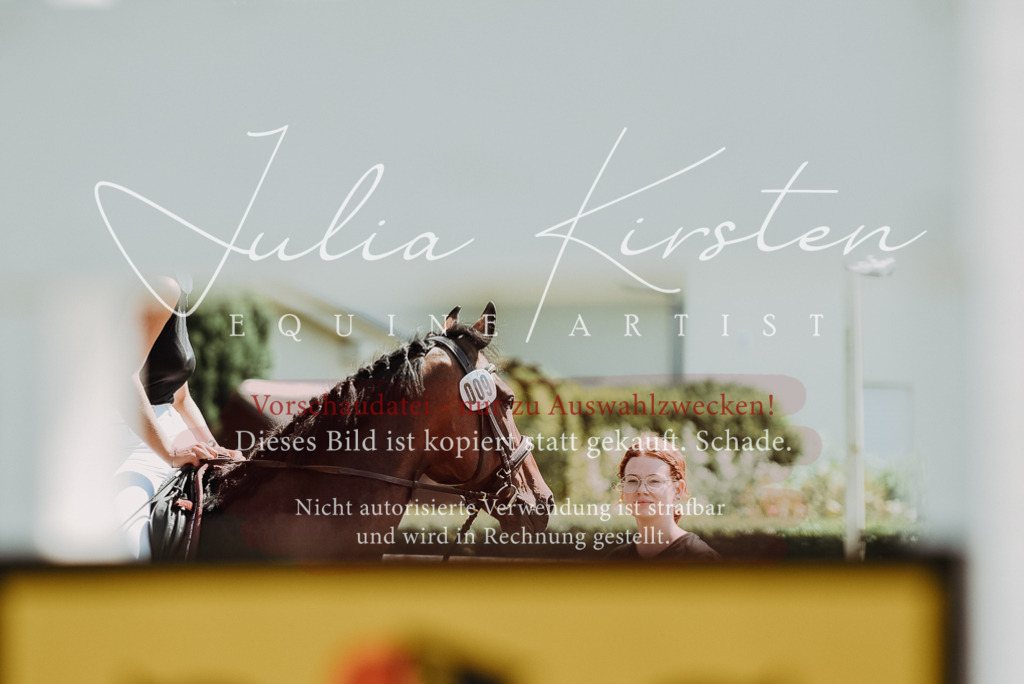 DSC_0141 | Pferde- und Turnierfotografie in Westsachsen. Pferdeportraits, Auftragszeichnungen und intuitive Kunst.